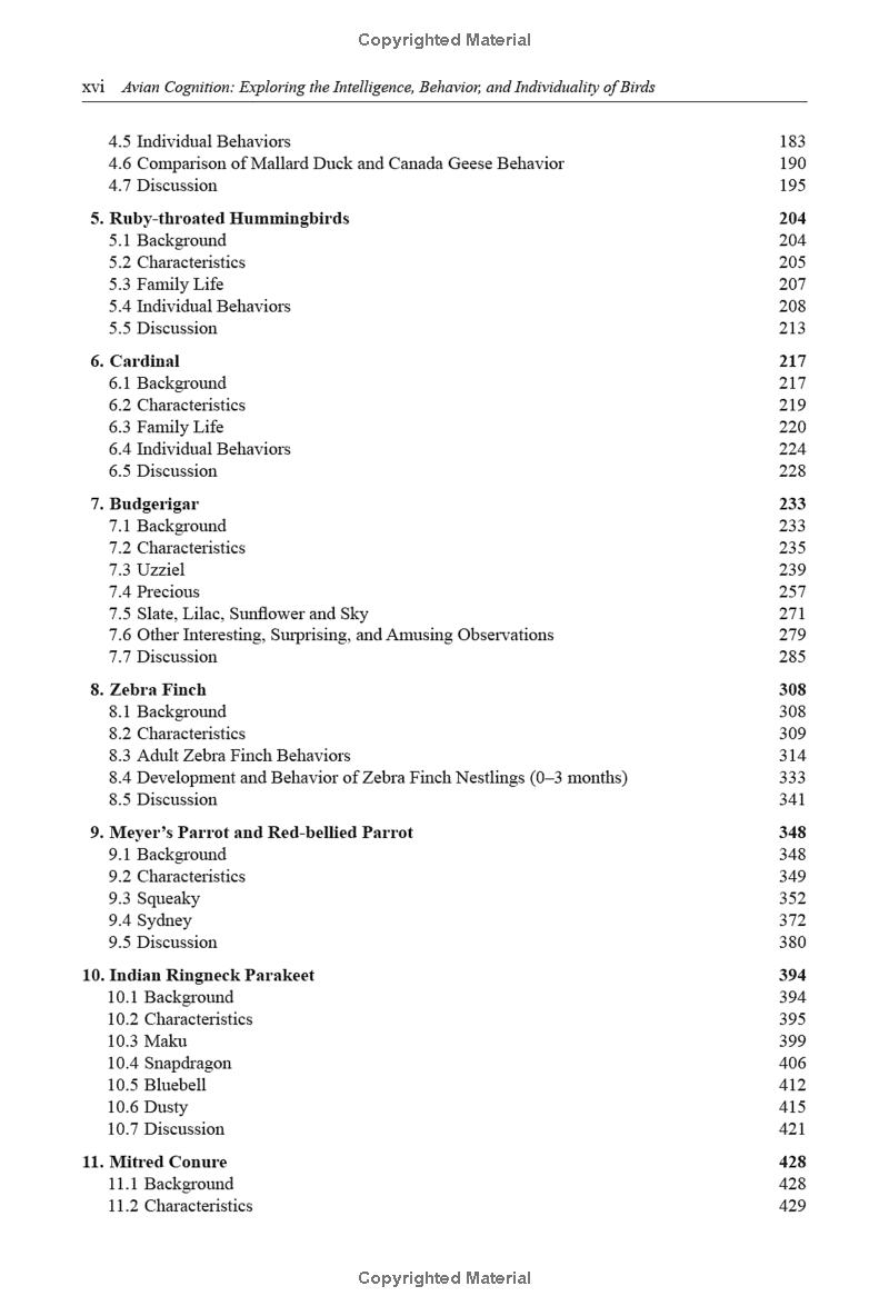 Avian Cognition: Exploring the Intelligence, Behavior, and Individuality of Birds - Image 3