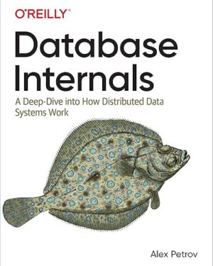 Database Internals: A Deep Dive into How Distributed Data Systems Work 1st Edition