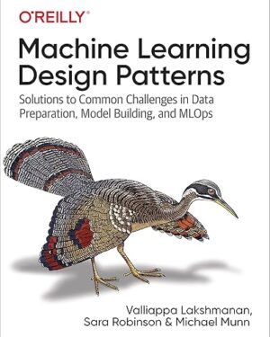 Machine Learning Design Patterns: Solutions to Common Challenges in Data Preparation, Model Building, and MLOps 1st Edition