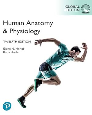 Human Anatomy & Physiology, Global Edition 12th Edition