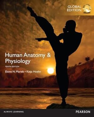 Human Anatomy & Physiology 10th Global Edition