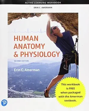 Active-Learning Workbook for Human Anatomy & Physiology 2nd Edition