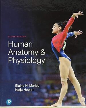 Human Anatomy & Physiology 11th Edition