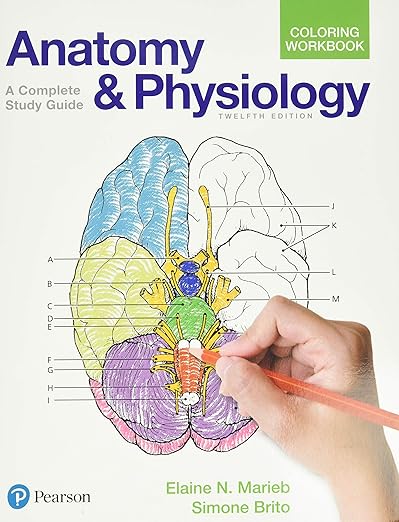Anatomy and Physiology Coloring Workbook: A Complete Study Guide 12th Edition